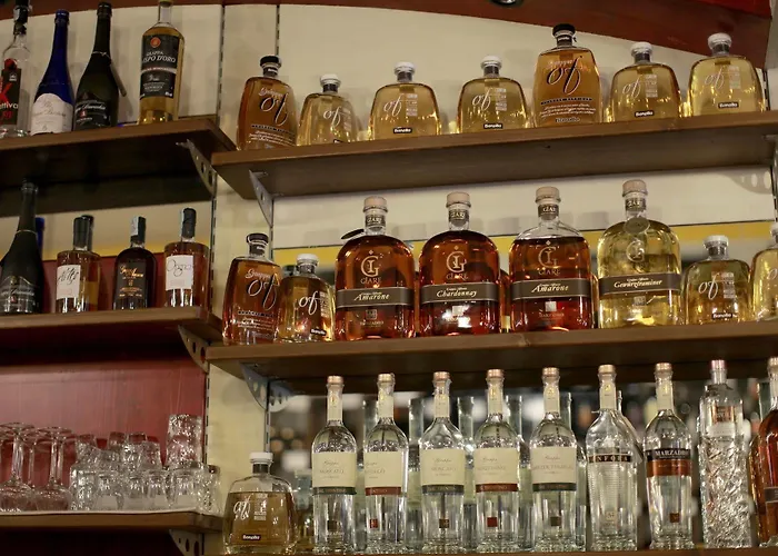 酒店 奥博谷阿拉佩萨酒店 圣皮得因卡日